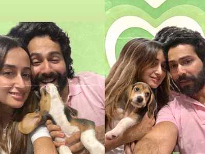 Varun Dhawan shares adorable pictures with wifey Natasha Dalal and their pet dog