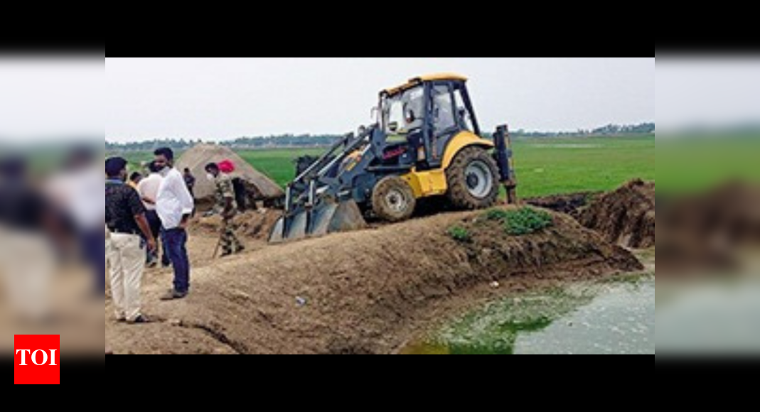 Prawn farming business plan in odisha picture