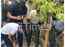 Ajay Devgn and son Yug spotted in the city planting trees, see pics