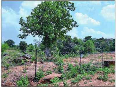Jharkhand: Villagers, admin tussle over land in Khunti village