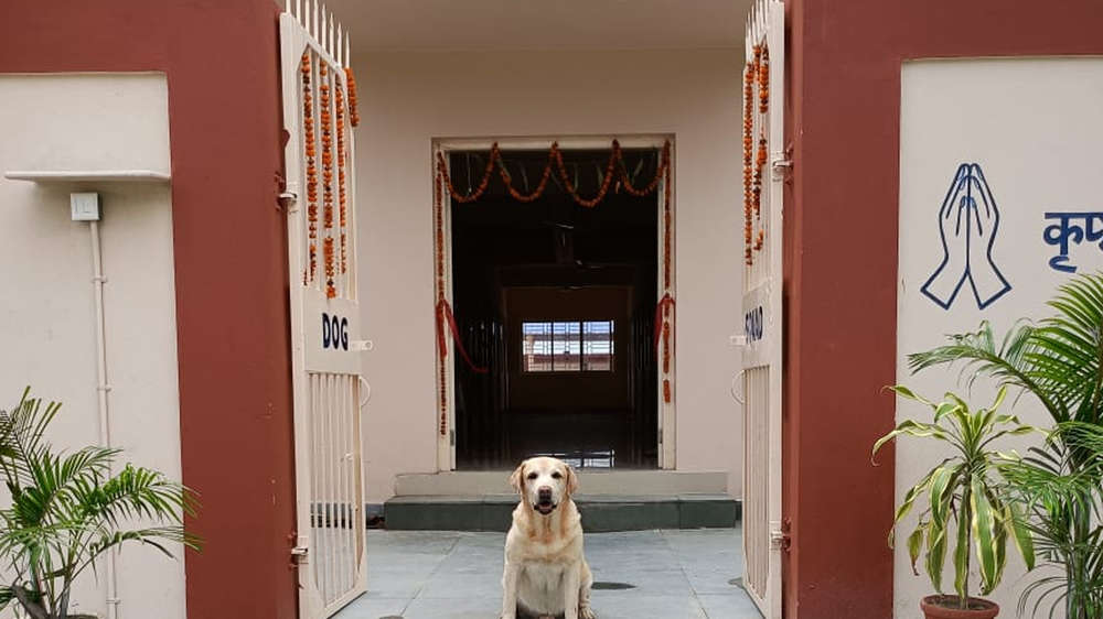 Photos: CISF dog squad's plush AC home with swimming pool