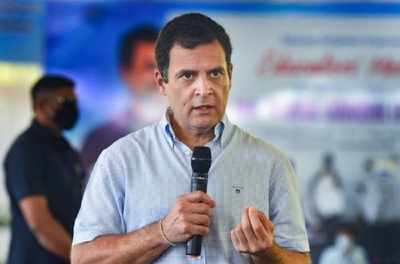 Rahul Gandhi slams Centre for not paying compensation to kin of Covid victims