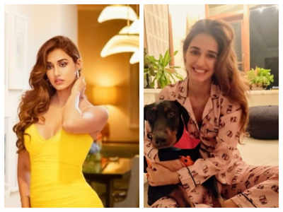 Pictures and videos that will take you inside Disha Patani's chic Mumbai home