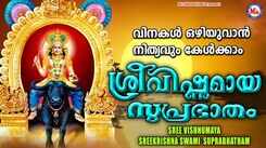 Sree Vishnumaya Devotional Song: Watch Popular Malayalam Devotional Video Song 'Sree Vishnumaya Suprabhaatham' Sung By Chithra Arun