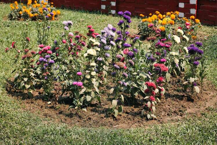 Company Garden, Prayagraj