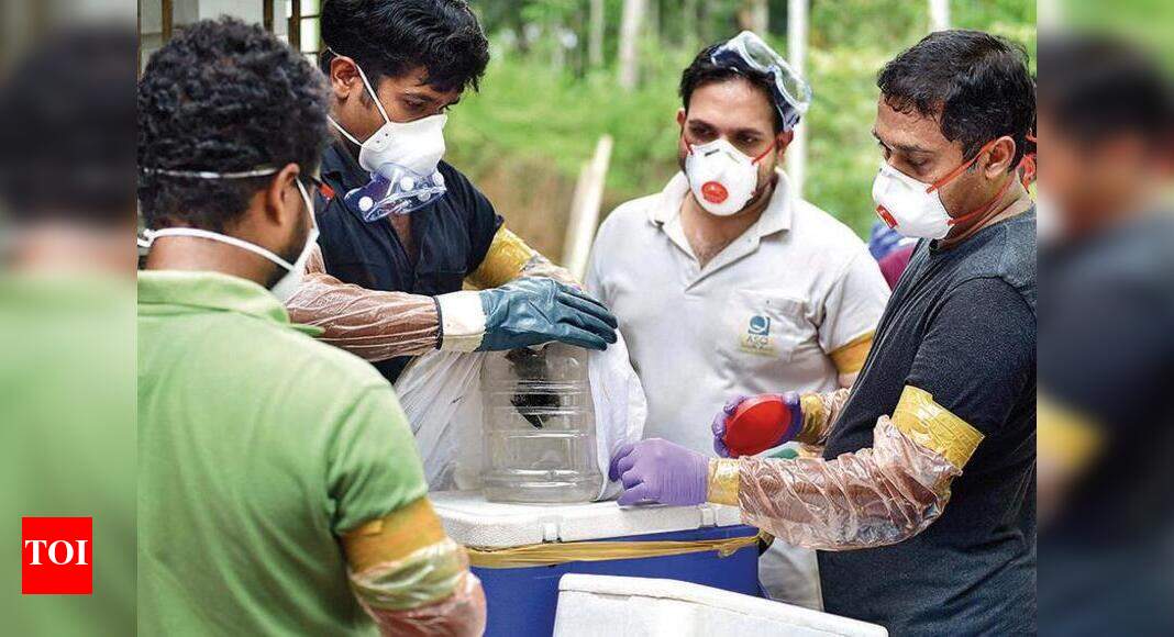 Nipah virus found in two bat species in Maharashtra by NIV team ...