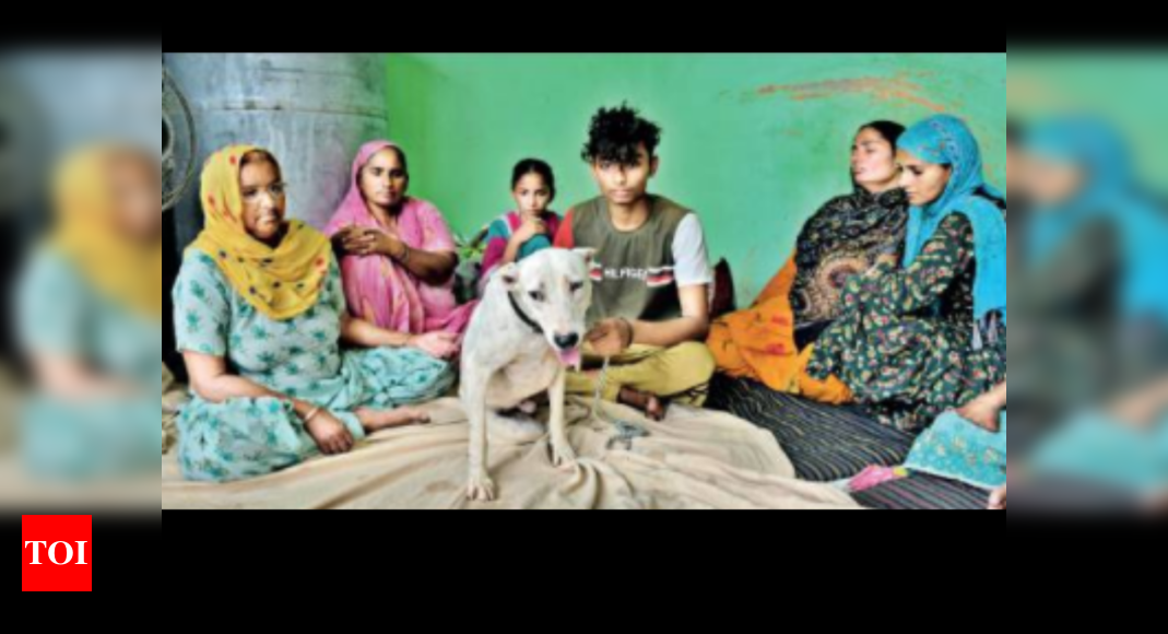 Punjab: Stray Dog Adopted By Victim Found His Buried, Headless Body 