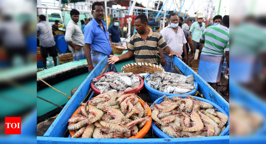 Goa: Mapusa fish market to be opened from tomorrow