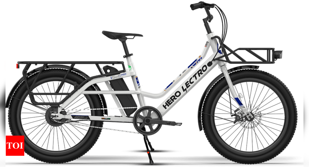 swadeshi cargo electric bike