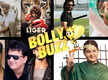 
Bolly Buzz: Akshay Kumar upset with fake news; Vijay Deverakonda crushes rumours surrounding 'Liger'
