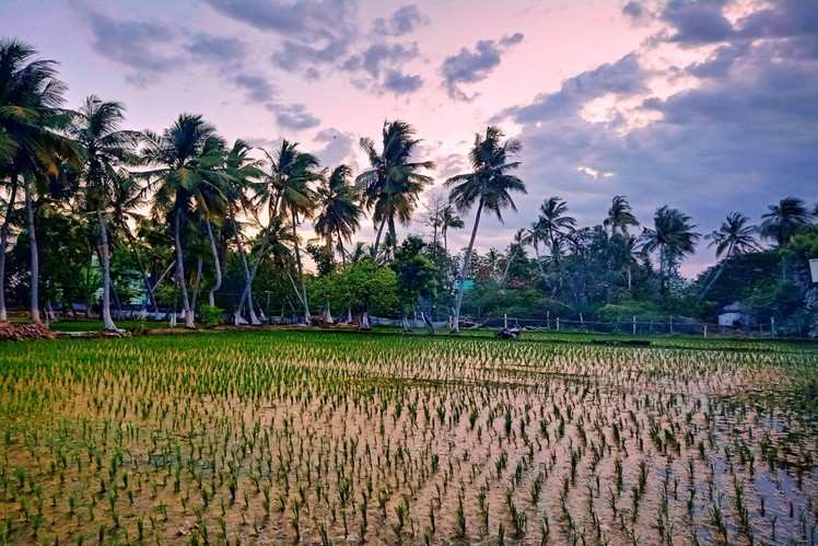 Traditional artistic villages to visit in Bali | Times of India Travel