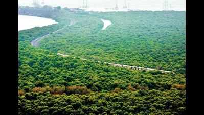 Maharashtra notifies 9,800 hectares mangrove land as reserved forest in 1 year