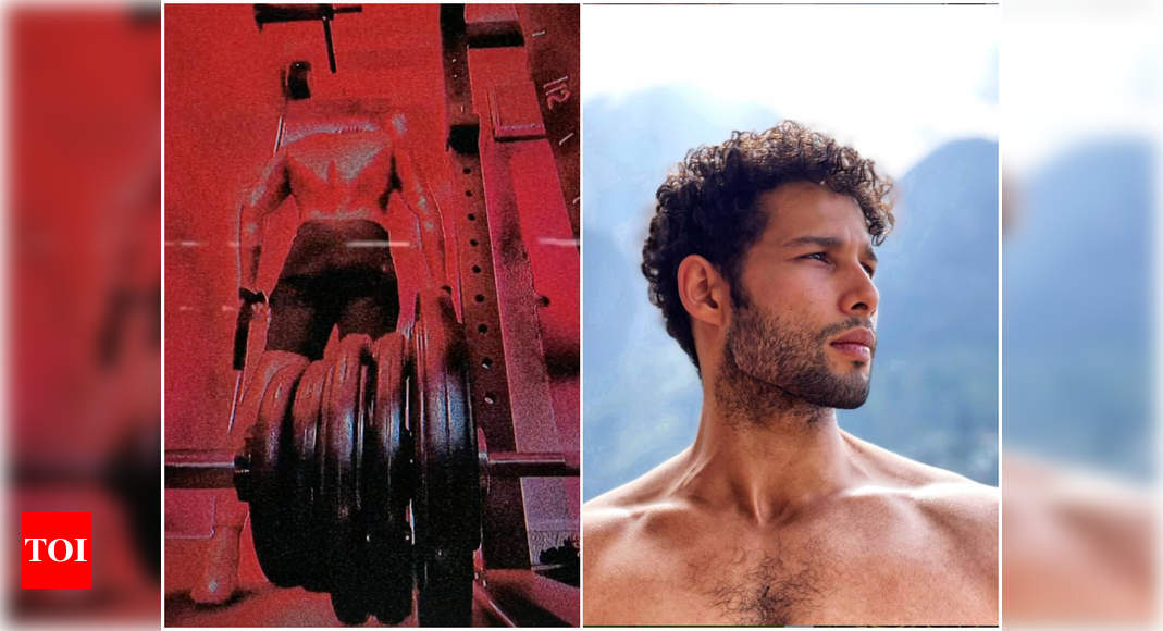 Siddhant Chaturvedi's latest work out pic