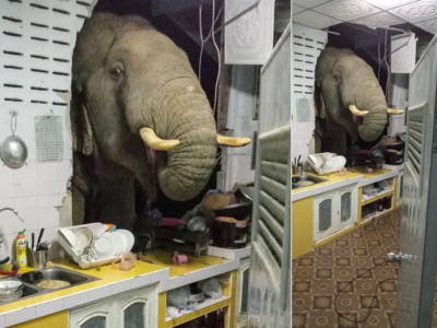 Elephant in the room: Thai family gets repeat mammoth visitor