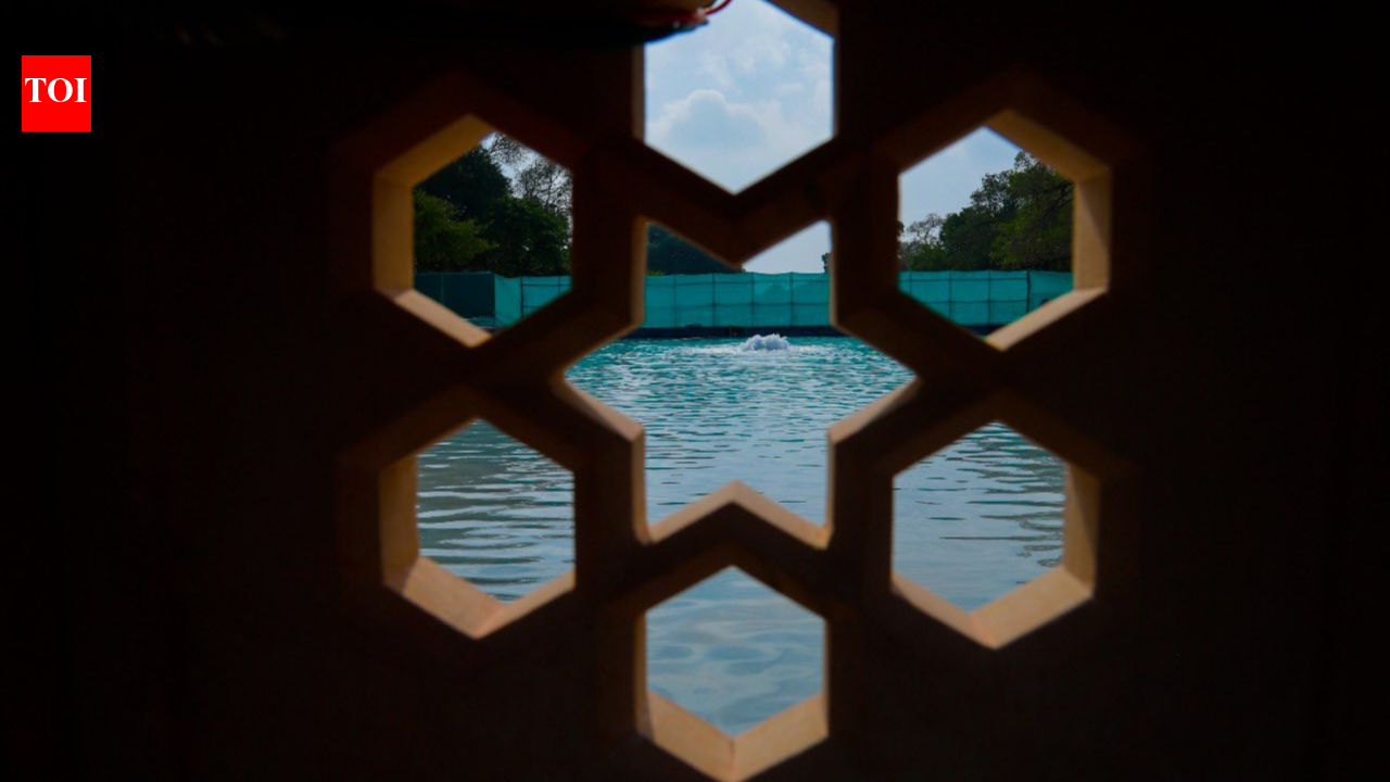 Photos: Early glimpse into how a revamped Rajpath will look | The Times ...