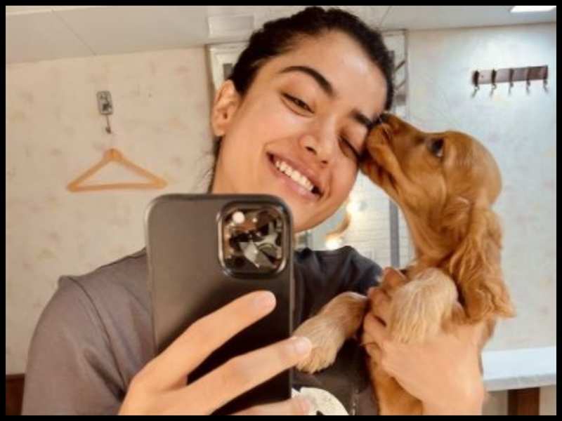 'Goodbye' actress Rashmika Mandanna shifts into a new apartment in Mumbai with her furry friend, Aura; see picture