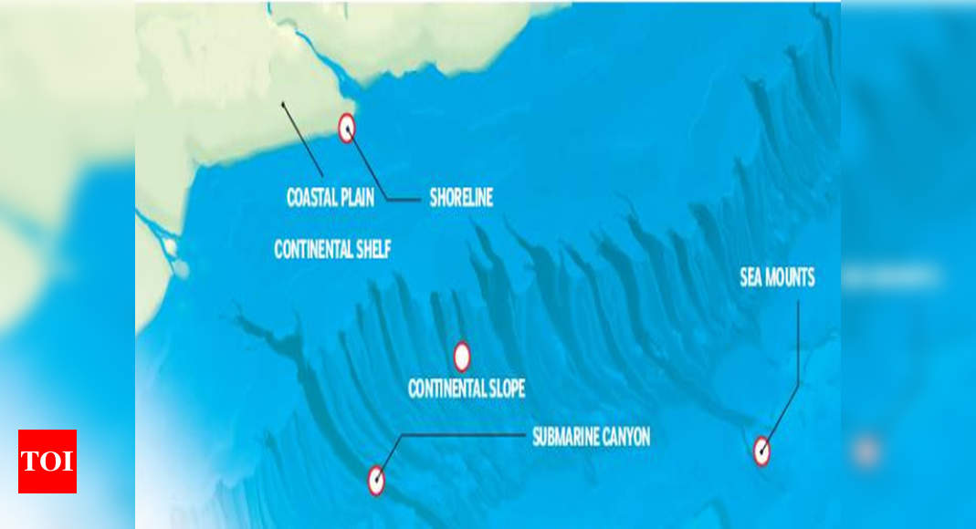 Ocean researchers find areas prone to landslides that cause tsunamis |  Chennai News أخبار