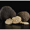 Truffles: Why are real truffles so expensive and what makes them the costliest food on the planet?