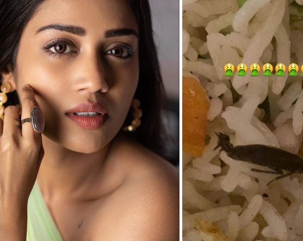 
Tamil actress Nivetha Pethuraj shares pic of cockroach in her meal, complains to the food delivery app
