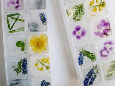 15 Creative Ice Cube Tray Recipes