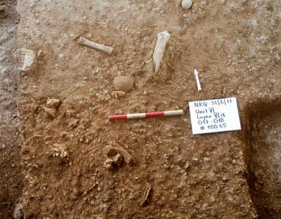 'New type of early human' found in Israel