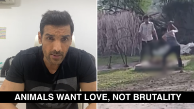 Here is why this viral video from Alwar gives John Abraham sleepless nights