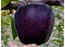 What is Black Diamond Apple and is it healthy?