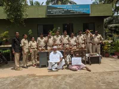 Karnataka: 25 kg of sandalwood, dead monitor lizard seized; 2 held