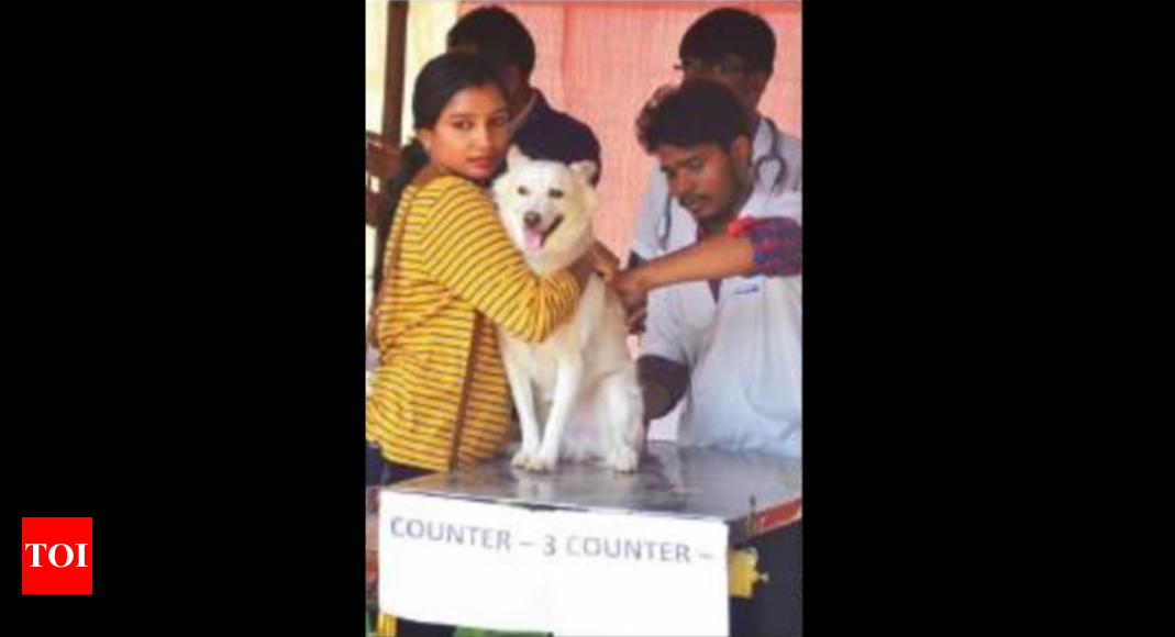 Goa: Mission Rabies’ static point vaccine drive from September 28