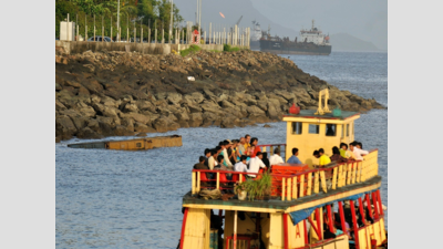 Covid-19: Tourism-dependent Elephanta island stares at long road to recovery