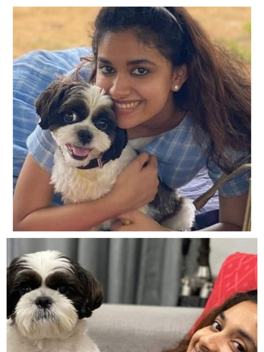Keerthy Suresh pics with her 'paw'some friend