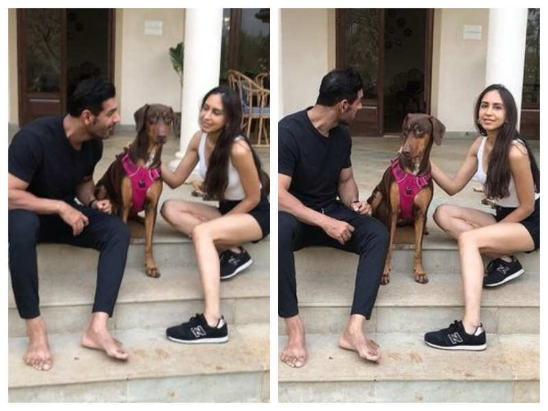 John Abraham: THESE pictures of John Abraham with his wife Priya and ...