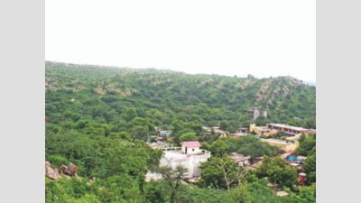 Gurugram: Four illegal farmhouses razed in Aravalli region