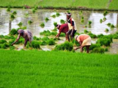 India to push for climate resilient farm practices as part of economic revival, support agriculture marketing in north-east