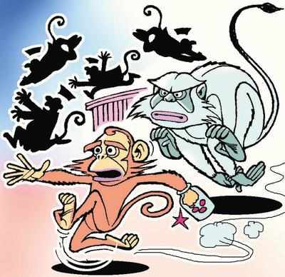 Carcasses of two monkeys found in Thane | Thane News - Times of India