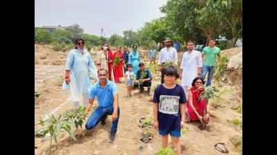 Ghaziabad residents come together to plant 20,000 saplings