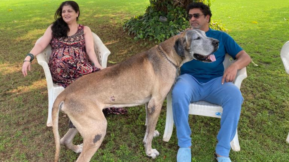 Raj Thackeray's pet James passes away; MNS chief bids teary goodbye