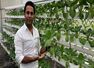 How hydroponic farming is redefining the approach of adopting a healthy lifestyle?