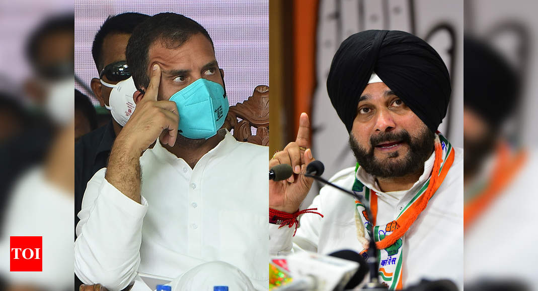 Cong infighting: Rahul denies 'scheduled meeting' with Sidhu