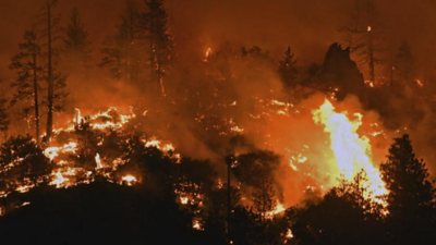 Police kill man near California pot farms evacuated by fire