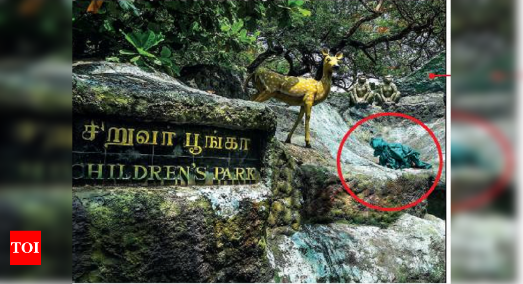 Chennai’s top tourist attractions lose sheen after weeks of lockdown | Chennai News