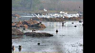 Legal cover for Sultanpur as Haryana marks 5-layer eco zone