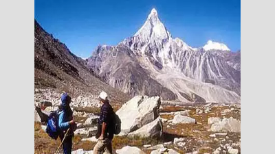 Major quake can permanently displace 40% of Kumaon Himalayas, finds study