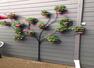Tips for beginners to build a beautiful garden