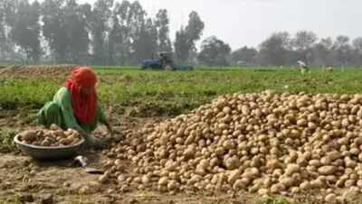Uttar Pradesh govt to launch special drive to bring more farmers under PM’s crop cover scheme - A test article
