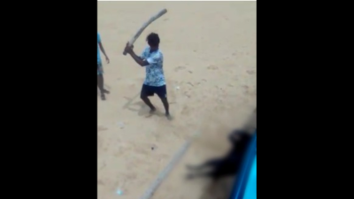 Kerala: Dog brutally thrashed to death at Adimalathura beach