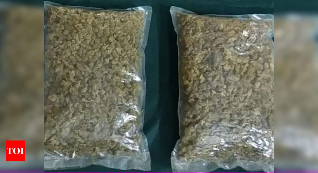 Mangaluru: 1.2 kg of hydro weed seized, MBBS student held | Mangaluru ...
