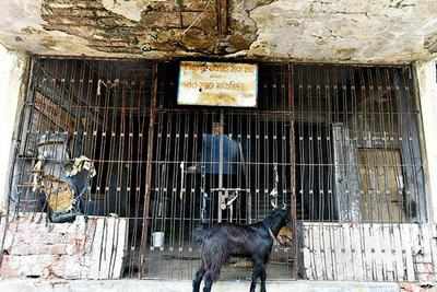 Ahmedabad: Vasant-Rajab memorial, school deteriorate in neglect