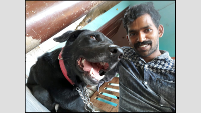 Shocking: Dog tied to hook beaten to death