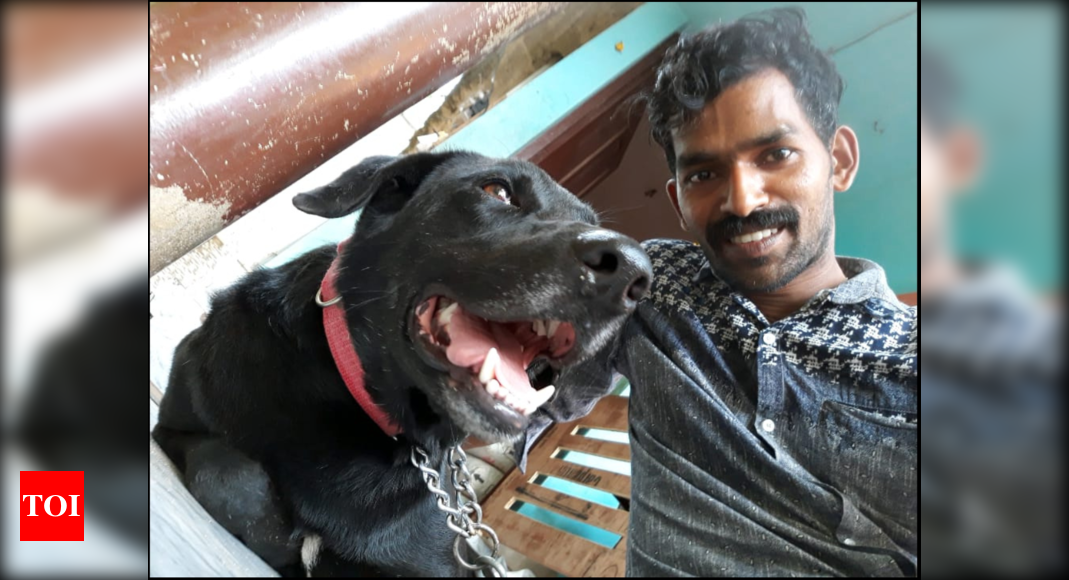 Kerala: Outrage as youths beat dog to death